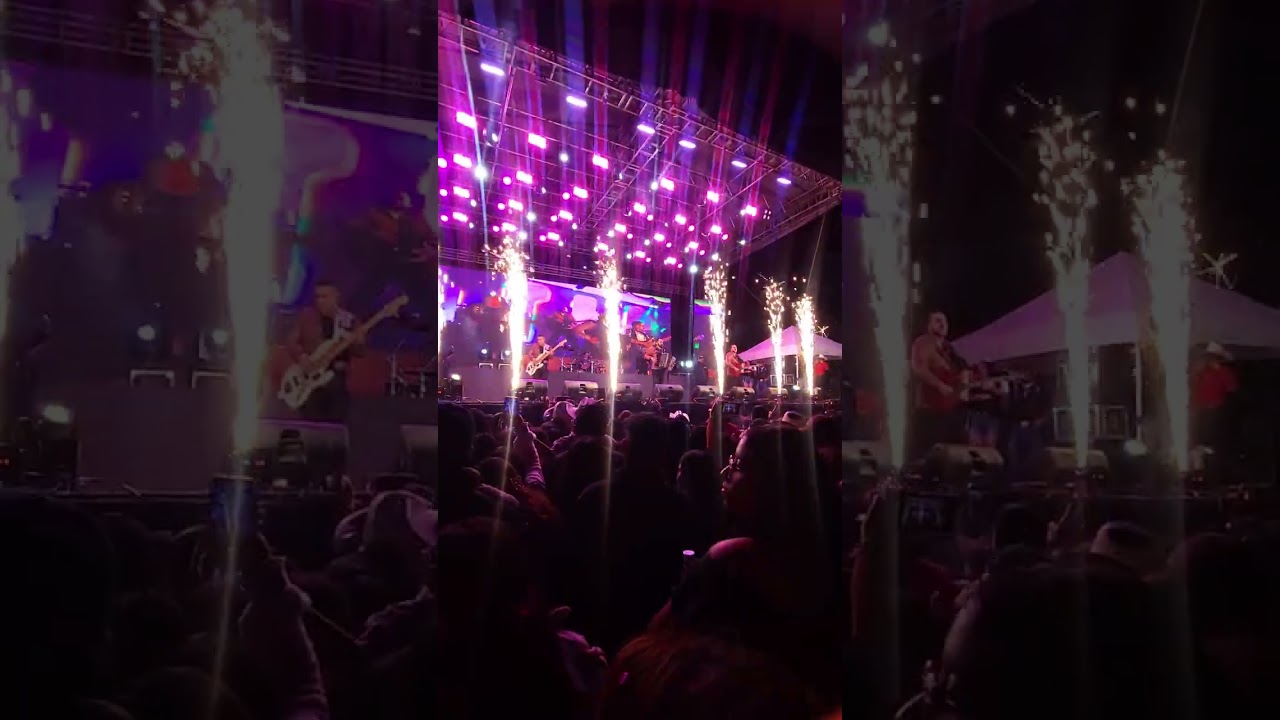 LOS BUITRES DE CULIACAN 