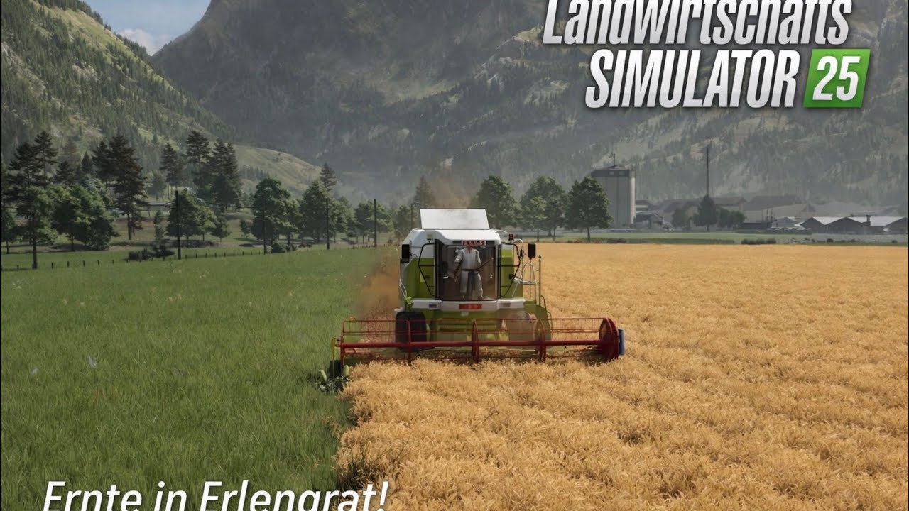 Erlengrat #2 Erntestart! Arbeit mit dem Drescher und auf der Wiese!