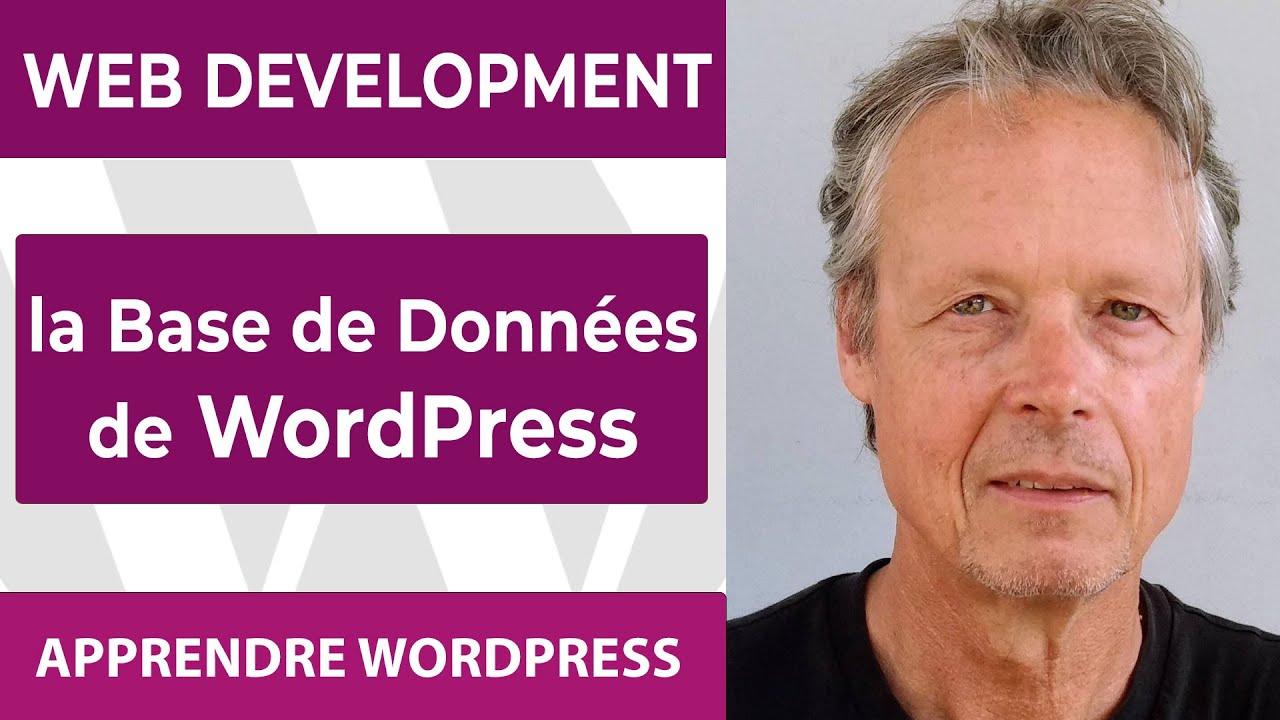 WORDPRESS ET BASE DE DONNÉES : Comment ça marche ?