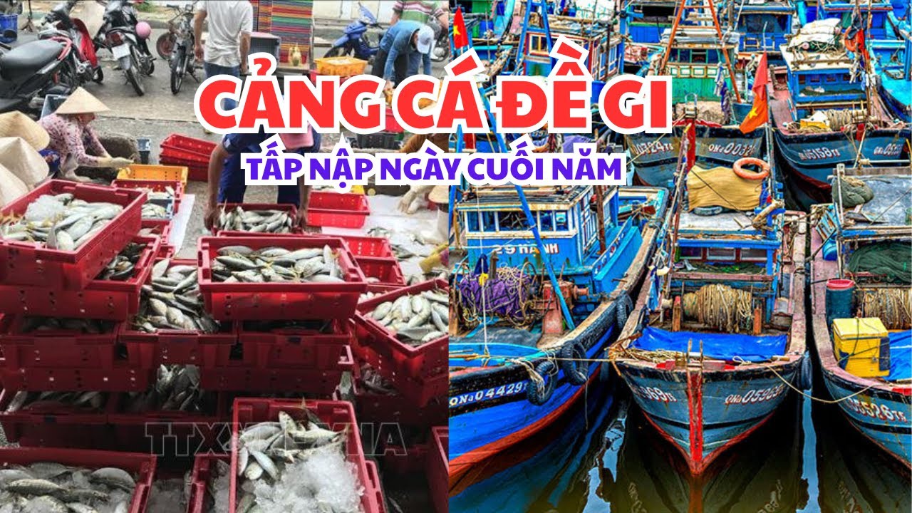 TÀU BÈ TẤP NẬP NGÀY CUỐI NĂM - CẢNG CÁ ĐỀ GI. 