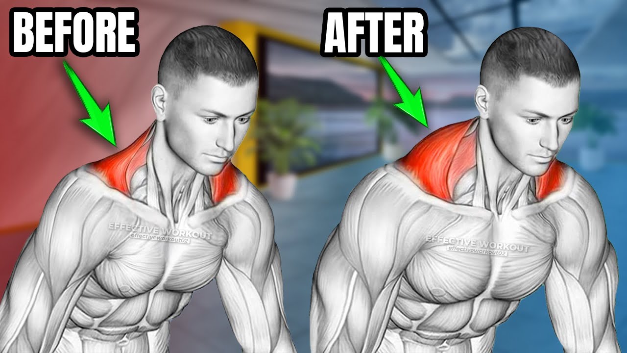 How To Build Big Traps (5 Effective Workout)