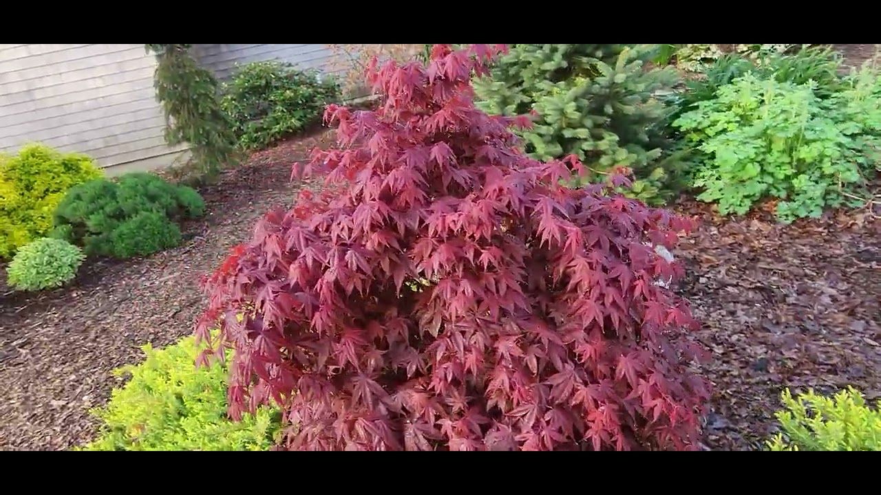 Cape Cod Garden Tour May 8, 2023