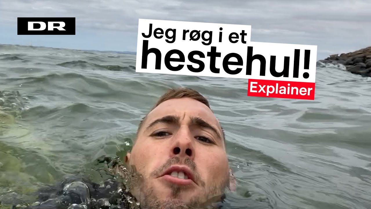 Derfor kan hestehuller være livsfarlige