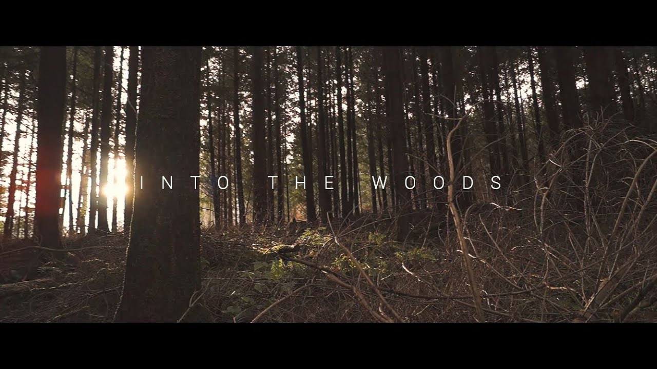 Into the Woods - Cinematic Sony A58