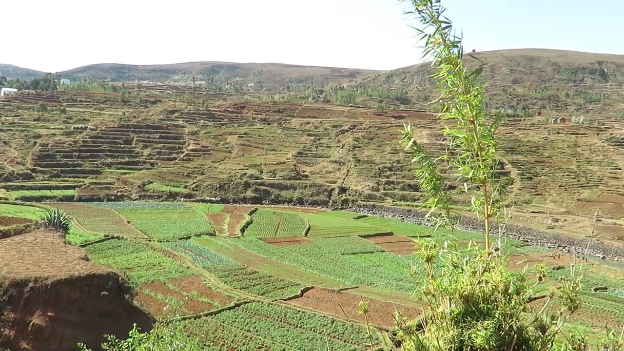 Udsigt Madagaskar