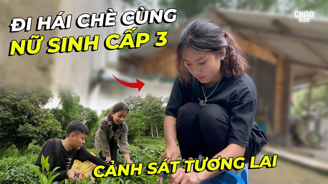 Được Em Gái Nữ Sinh Cấp 3 Người Nùng Đưa Lên Đồi Hái Chè