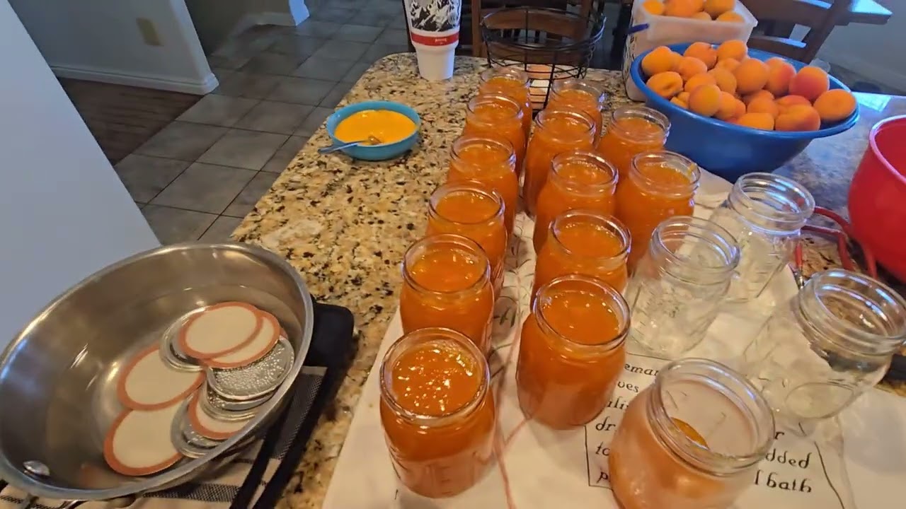 Here Is How to Make Apricot Jam