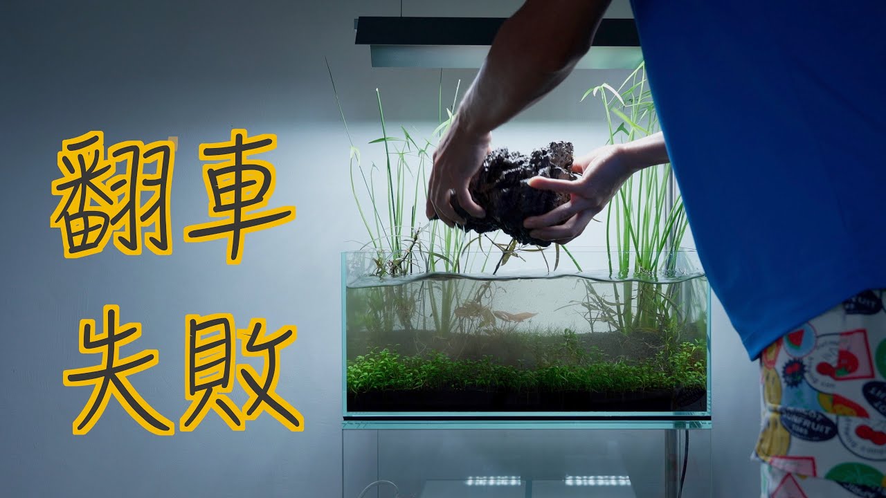 直面失败！6分钟带你看一期详细的草缸造景翻车记录｜自然水景｜浅缸｜#aquarium   #natureaquarium