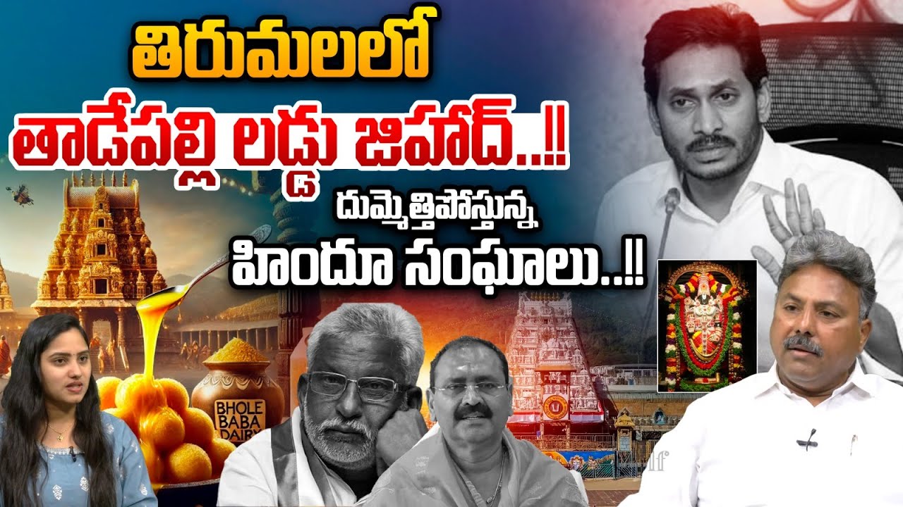 Big Conspiracy Revealed On Tirumala Laddu : తిరుమలలో తాడేపల్లి లడ్డు జిహాద్..!! | Wild Wolf Telugu