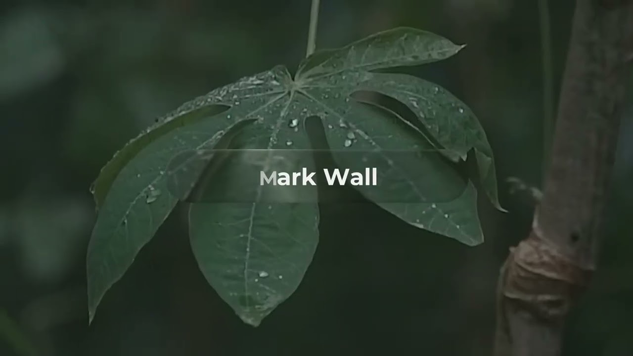 Modern Glass Lower Thirds - Elements | After Effect Template