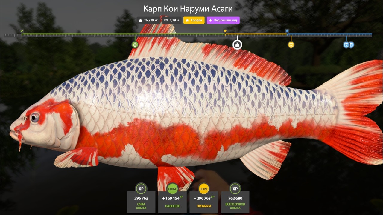 НОВЫЕ ФАРМЫ СЕРЕБРА и РАЗДАЧИ ТРОФЕЕВ! СВОДКА по ВОДОЁМАМ на 07.03 в Русской Рыбалке 4! РР4