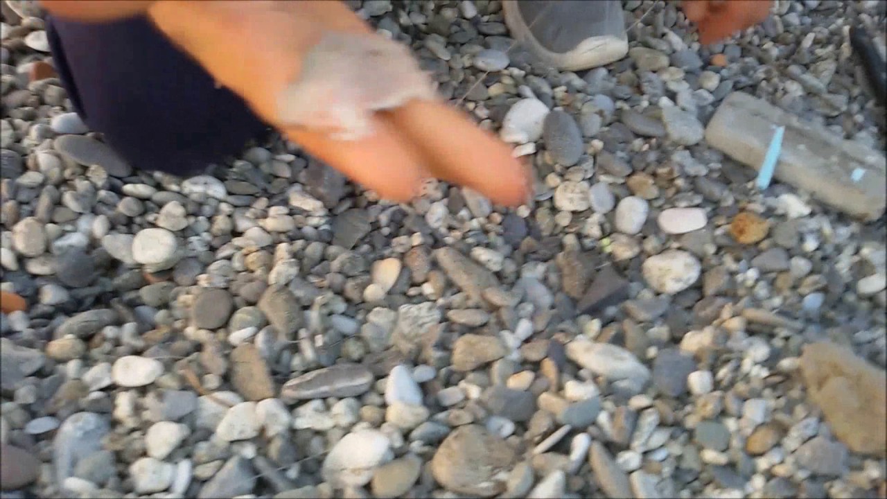 Innesco trancio di cefalo ( tutorial ) con cattura di serra