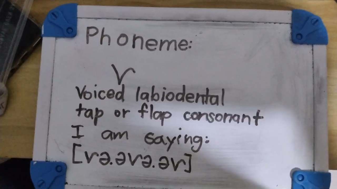 (Phoneme) [ⱱ] Voiced labiodental tap or flap consonant