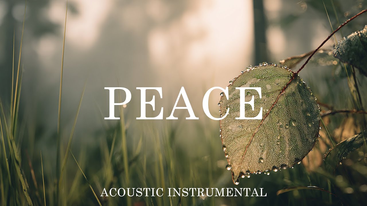 Relaxing Guitar for Stress Relief, work and study.