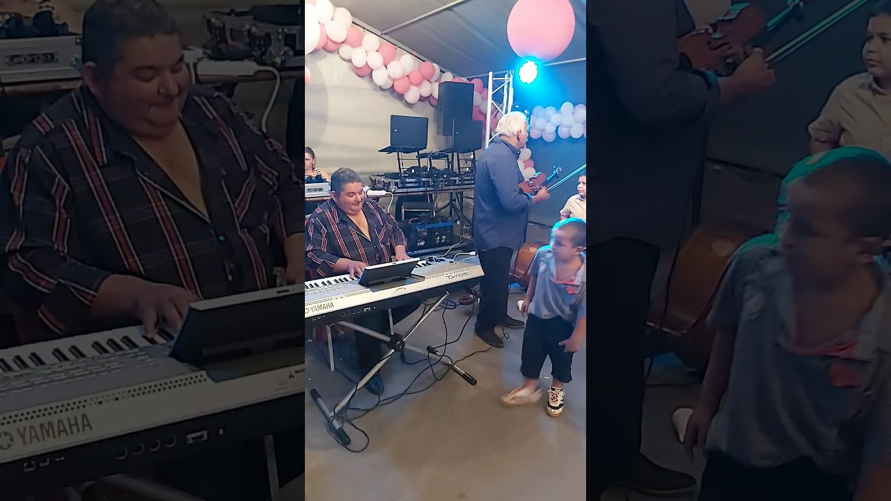 ensemble paro sintetiste violoniste  gitan