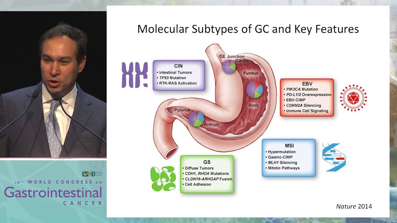 Keynote Lecture 1: Unraveling the taxonomy in gastric cancer