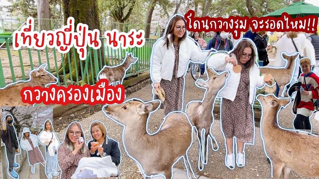 นาระ เมืองที่เต็มไปด้วยกวาง เที่ยวญี่ปุ่นep8