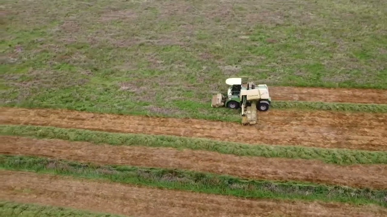 krone big m mark 2 cutting first cut silage just out side miltown co kerry 6 june 2022