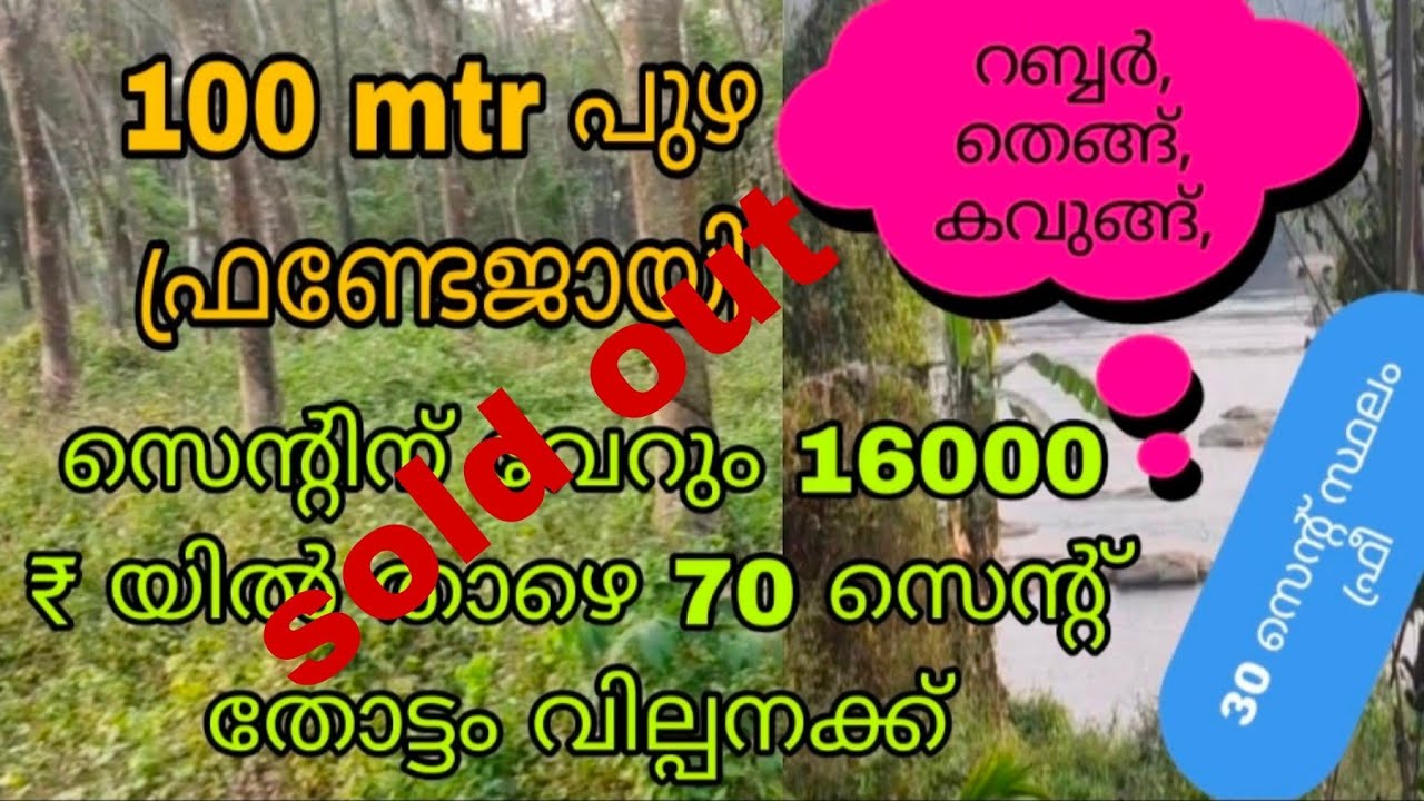 സെന്റിന് വെറും 16000 രൂപയിൽതാഴെ പുഴ യുടെസൈഡിൽ 70 സെന്റ്തെങ്ങുംകവുങ്ങും റബ്ബറുമായി തോട്ടംവില്പനക്ക്‌