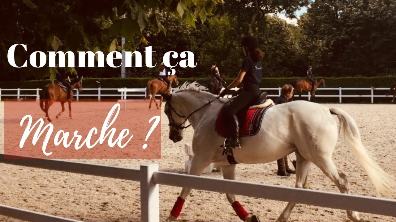 COMMENT AVOIR UN CHEVAL SUR LA MAIN ? - Horsude