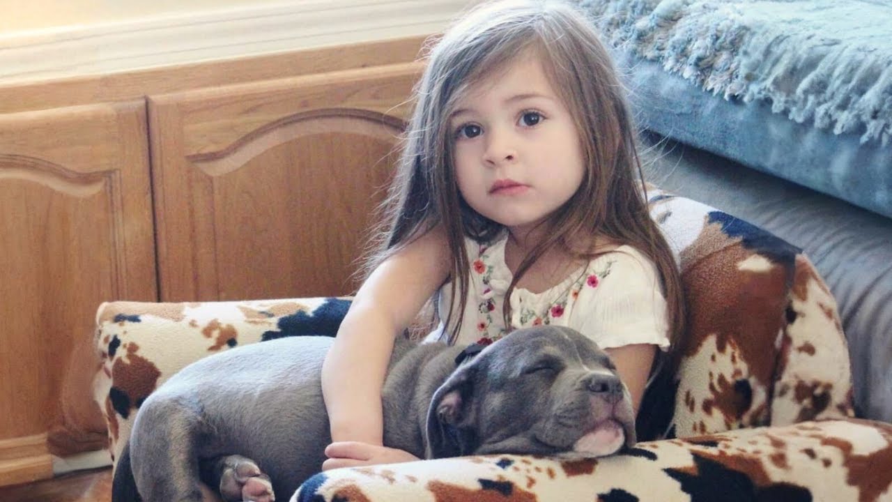 This Adopted Pit Bull Won’t Sleep Unless He’s Next to Our Little Girl