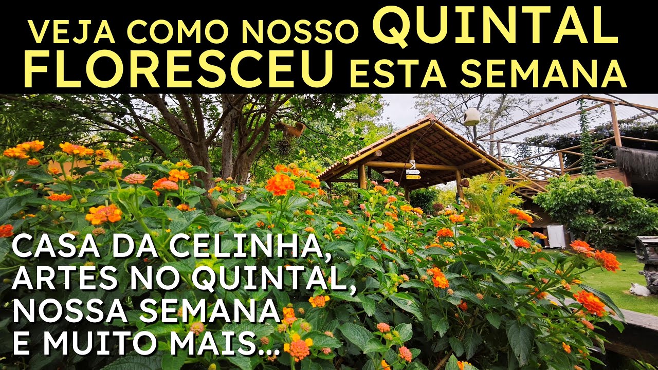 🌺 VEJA COMO NOSSO QUINTAL FLORESCEU ESTA SEMANA 🌼  Um Lugar Cheio de Magia e Amor