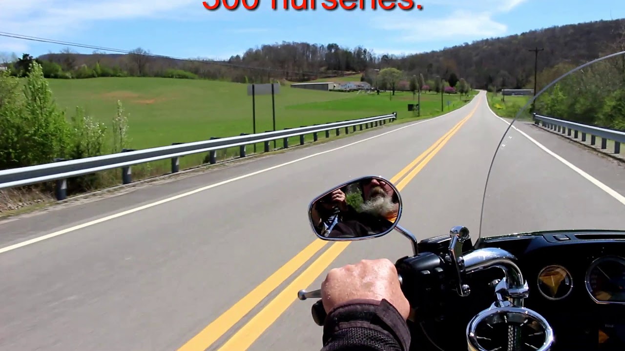 BIKERS CURE  COVID-19 CABIN FEVER | MADERA AND BUCK KEEP  SOCIAL DISTANCE AND RIDE BACKROADS. PART 1