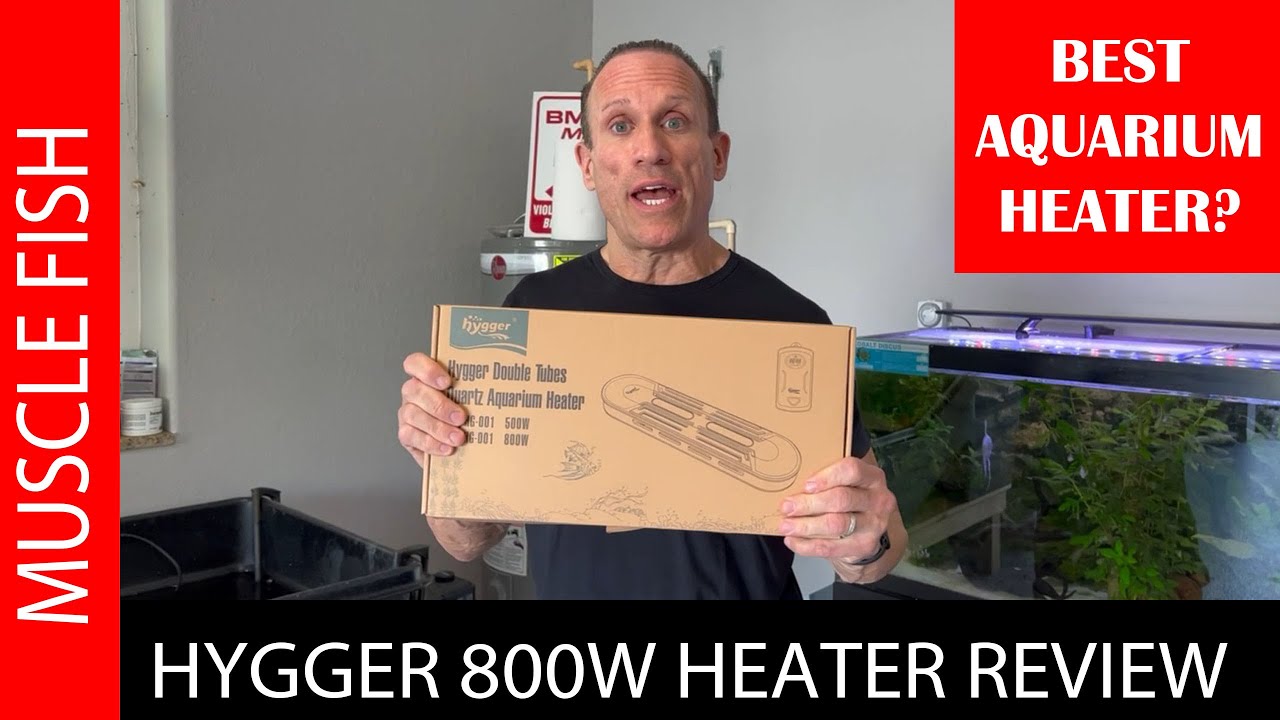 HYGGER AQUARIUM HEATER; MY FAVORITE?