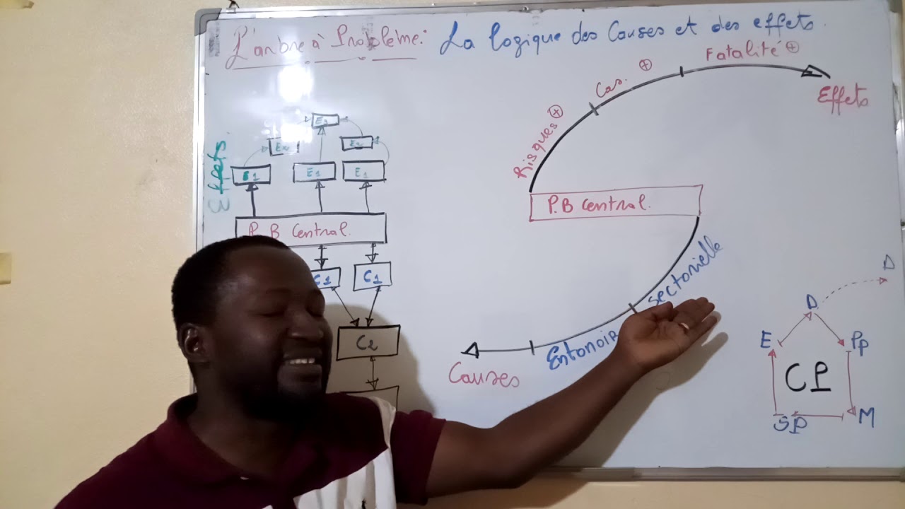 l'arbre à problèmes : Cas pratique.