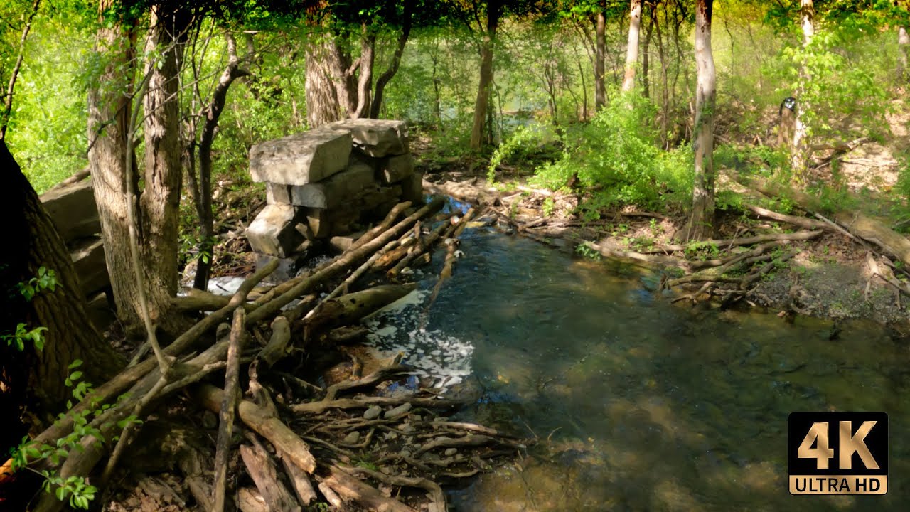 Clearing the blockage from a stream outlet at a local reservoir. 4K