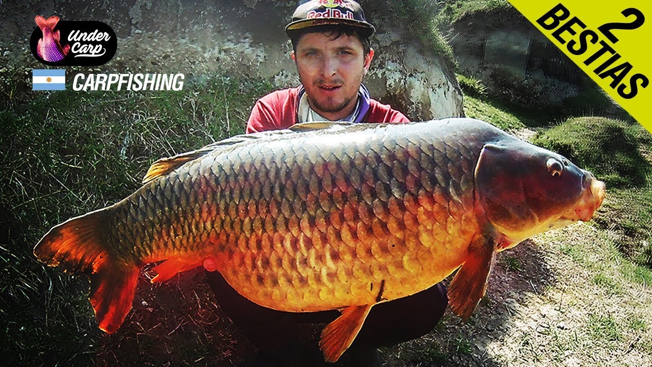 INCREIBLE PESCA DE CARPAS GIGANTES EN NAMEKUSEI // Carpfishing Argentino // Undercarp