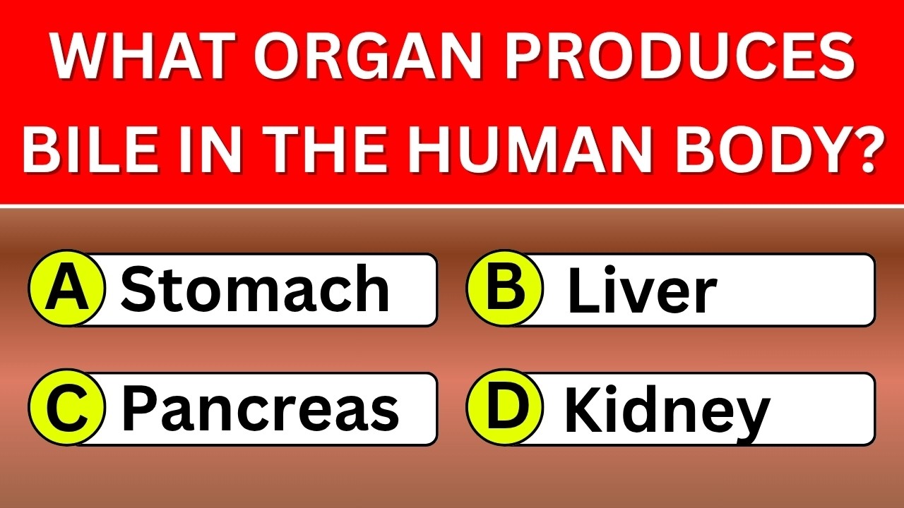 Can You Score 25/40 on This General Knowledge Quiz? 🧠 Most People Fail! 😱 | Wisdom Daily