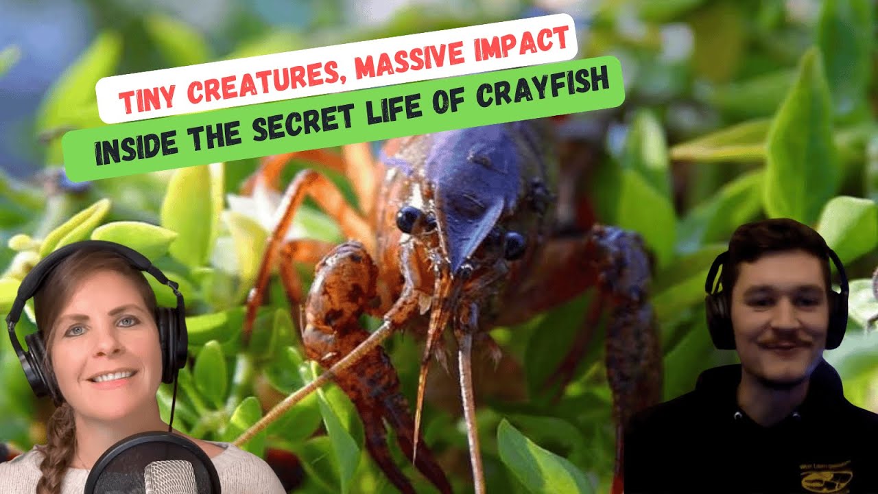 Inside the Secret Life of Crayfish