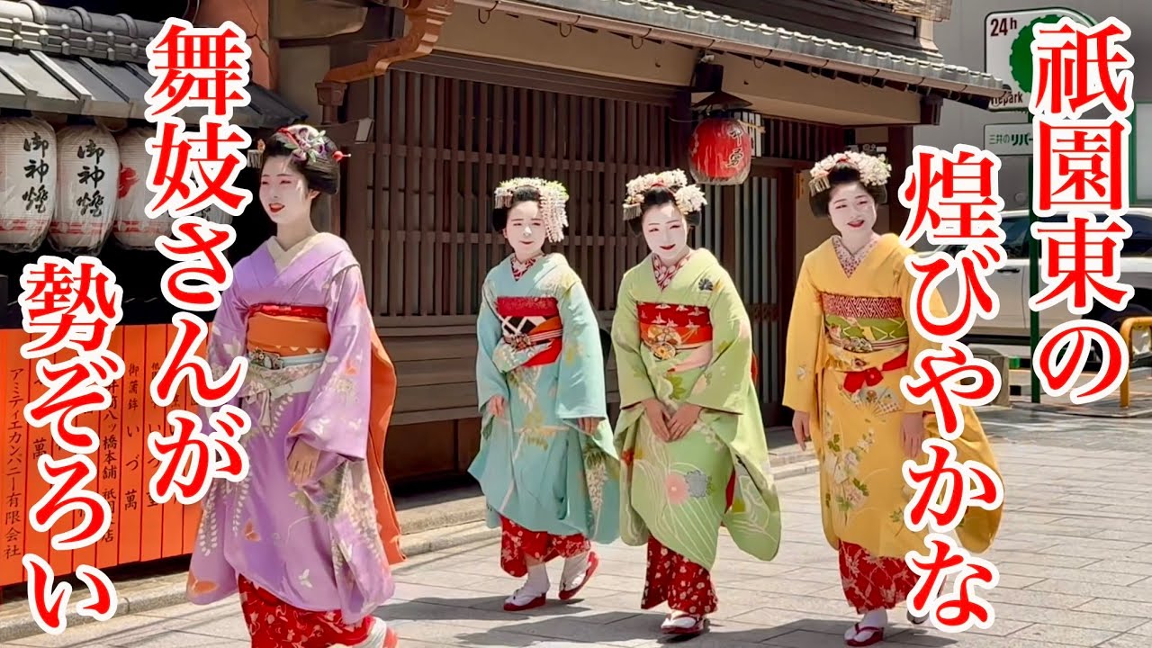 2025年5月14日 祇園東の煌びやかな舞妓さんたちが勢ぞろい 観亀稲荷神社大祭 Maiko in Gion,Kyoto 【4K】