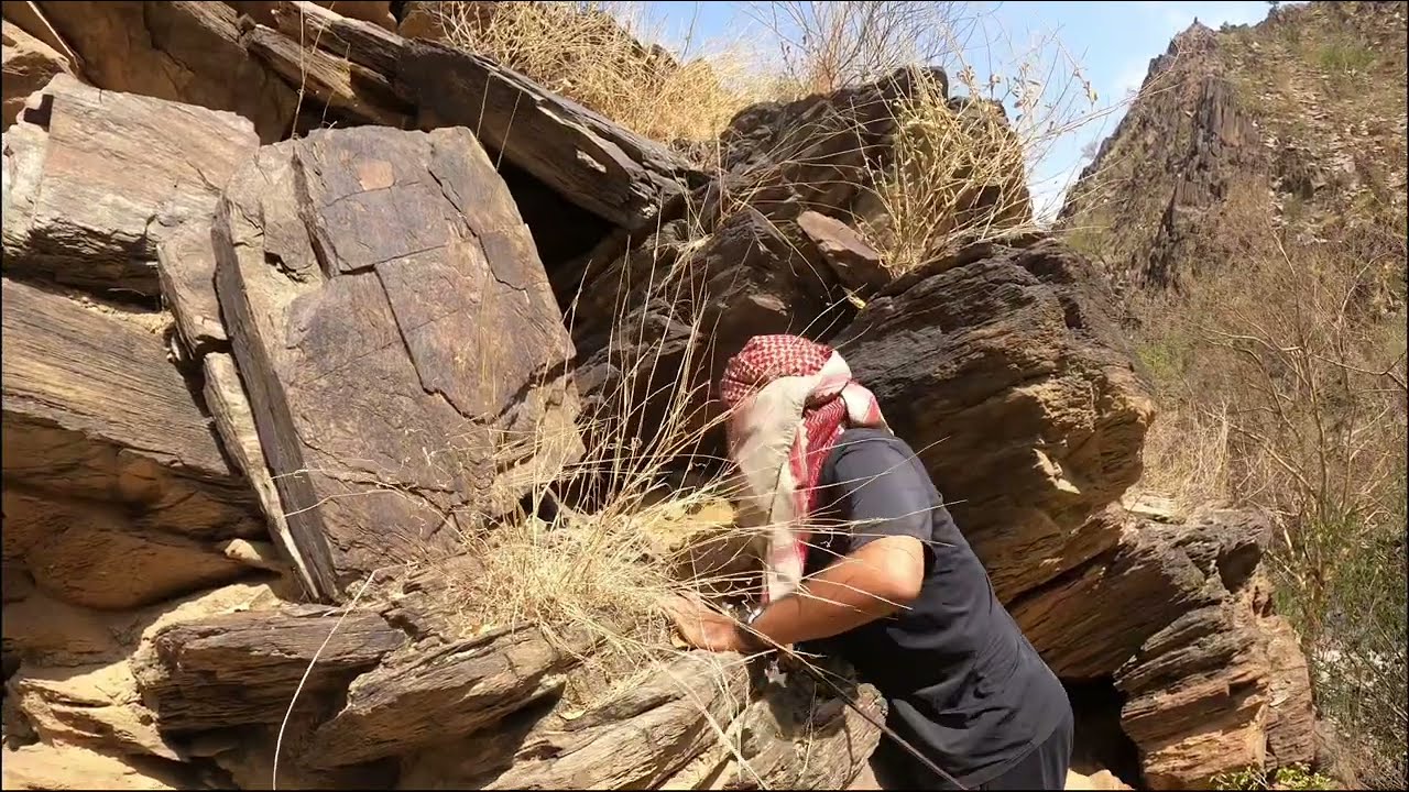 تنسيب خليه جديده مع ابو زياد