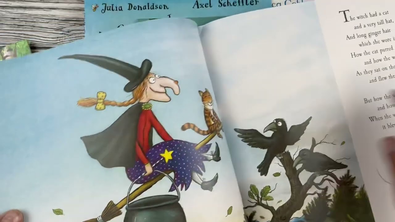 Julia Donaldson Classic Set of 10 books. Обзор