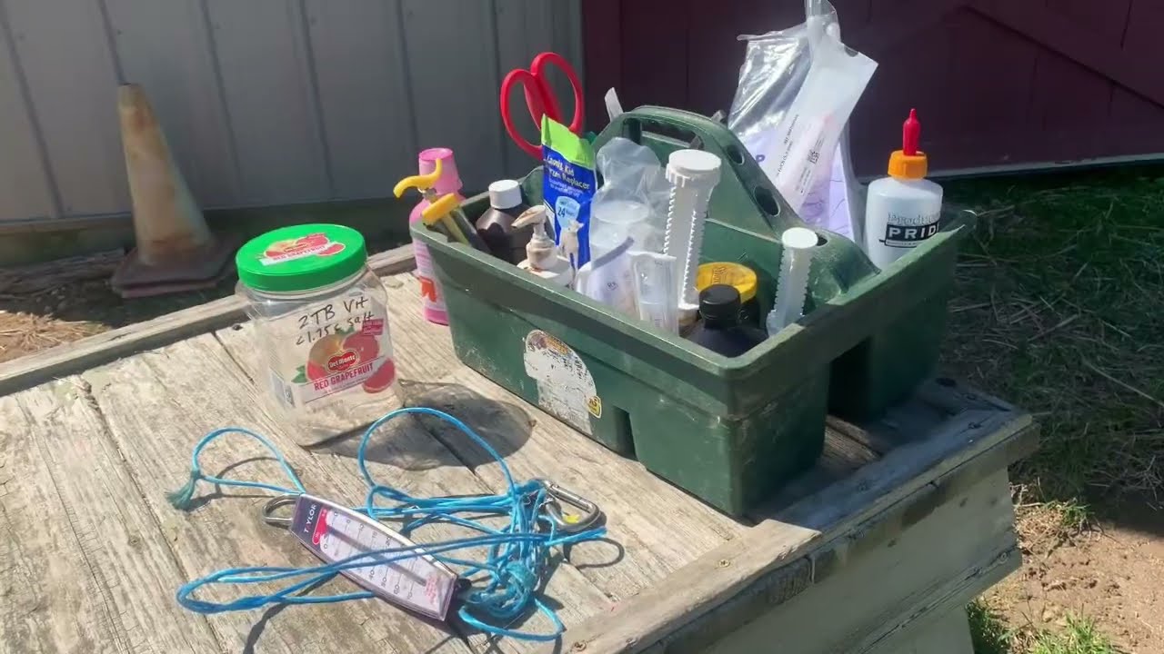 Sheep Series:  Vet and Lambing Kit