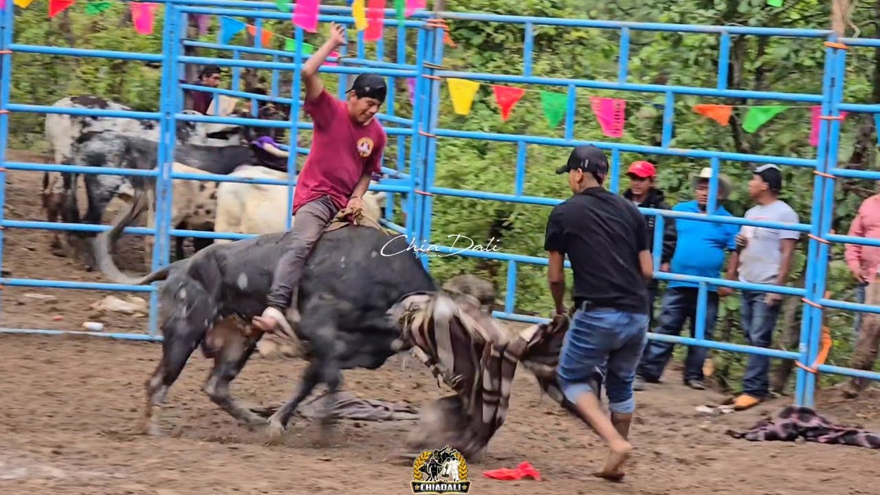JARIPEO TRADICIONAL EN MIXISTLAN DE LA REFOMA MIXE OAXACA