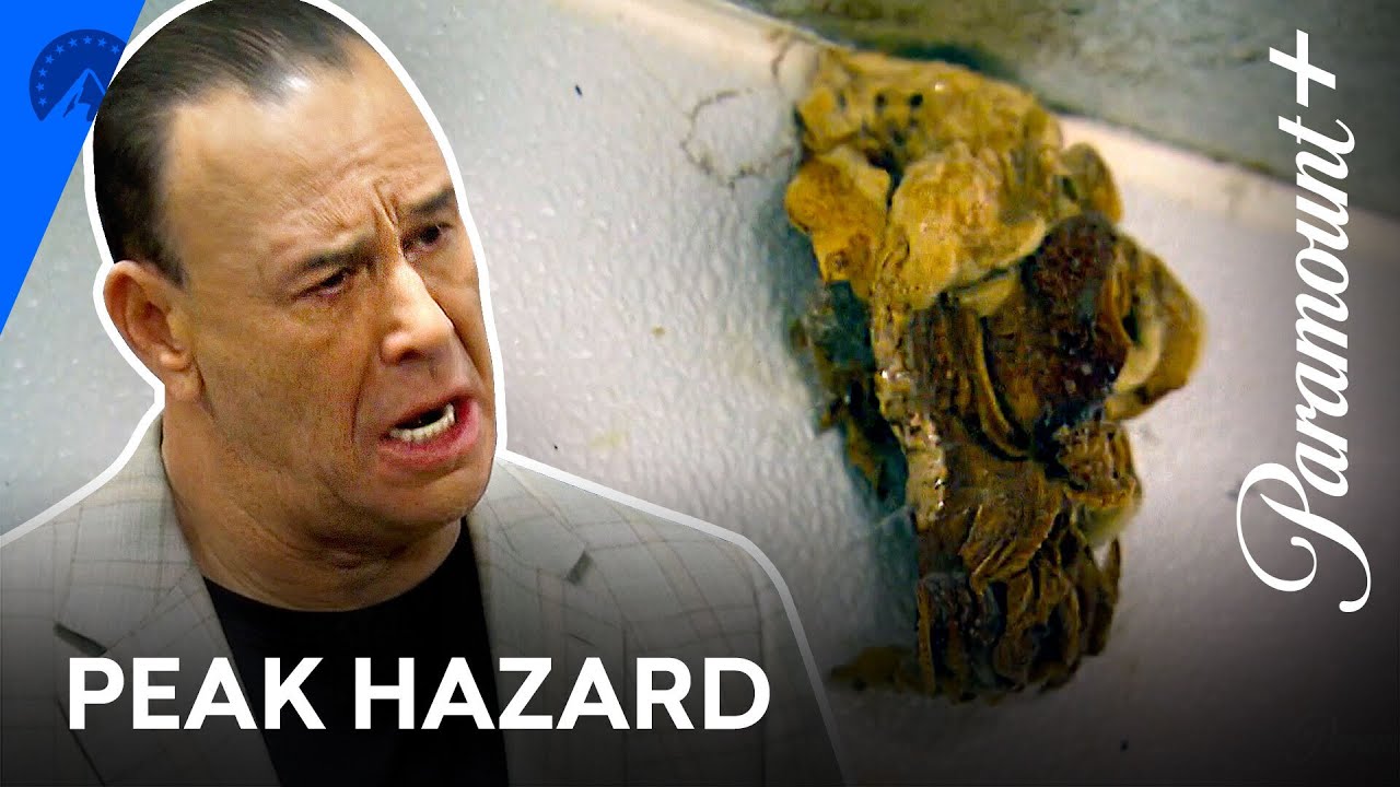 Peak Health Hazard: Mold 🤢Bar Rescue