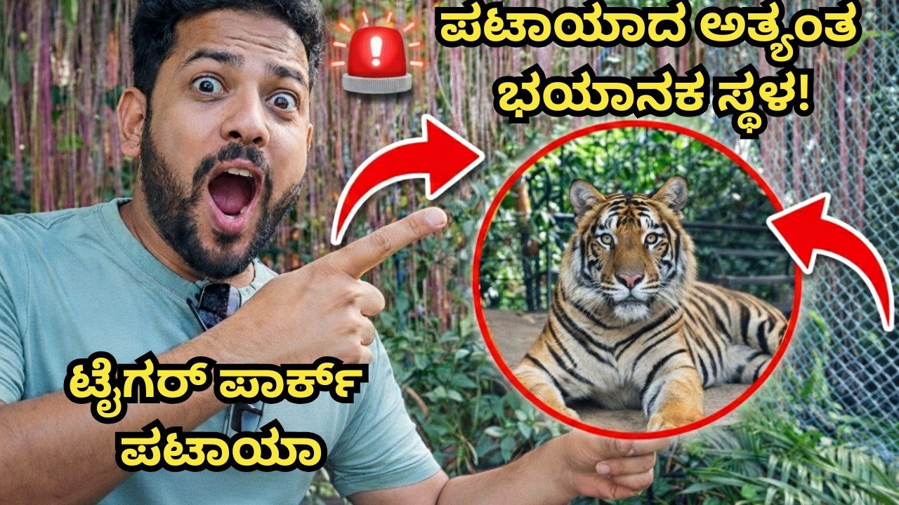 ಇಷ್ಟು ಹತ್ತಿರದಿಂದ ಹುಲಿಯನ್ನು ನೋಡಿದ್ದೀರಾ? | ಟೈಗರ್ ಪಾರ್ಕ್ ಥೈಲ್ಯಾಂಡ್ | Most Dangerous Place in Thailand?
