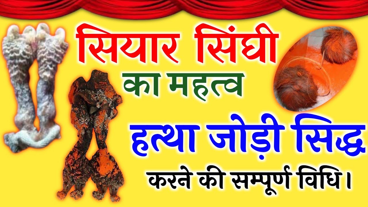 #SiyaarSinghiKaMahtavAnd HatthaJodiSidhaKarneKiSampurnVidhi #हत्था जोड़ी सिद्ध करने की सम्पूर्ण विधि।