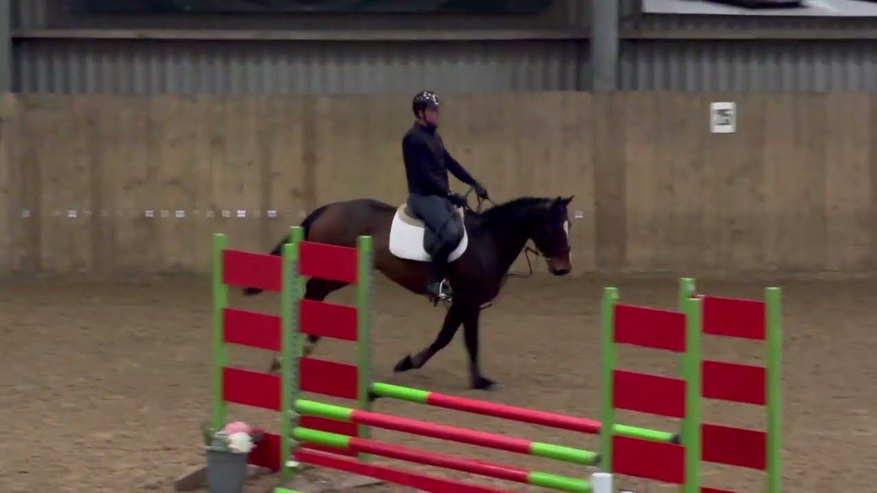 Training Show
