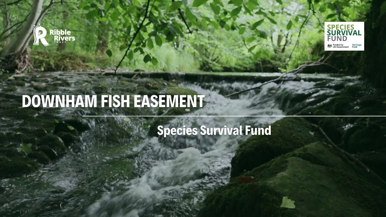 Downham Fish Easement