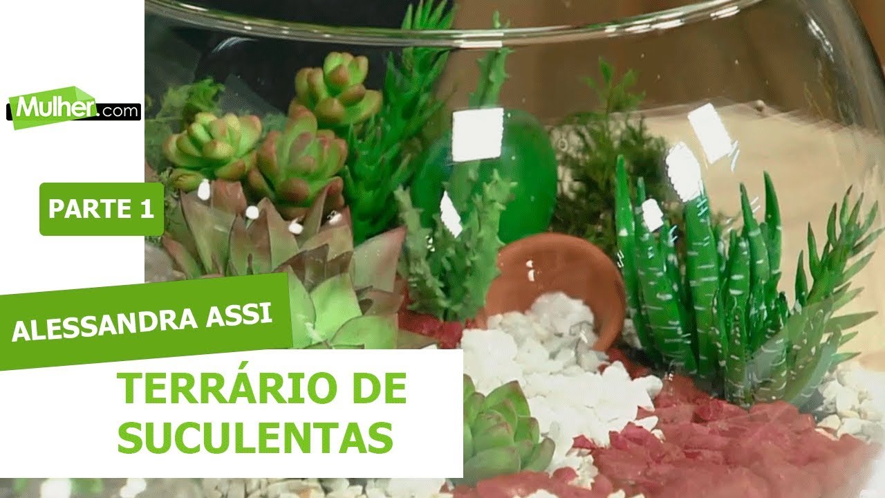 Terrário de Suculentas - Alessandra Assi - 05/04/2019 - P1
