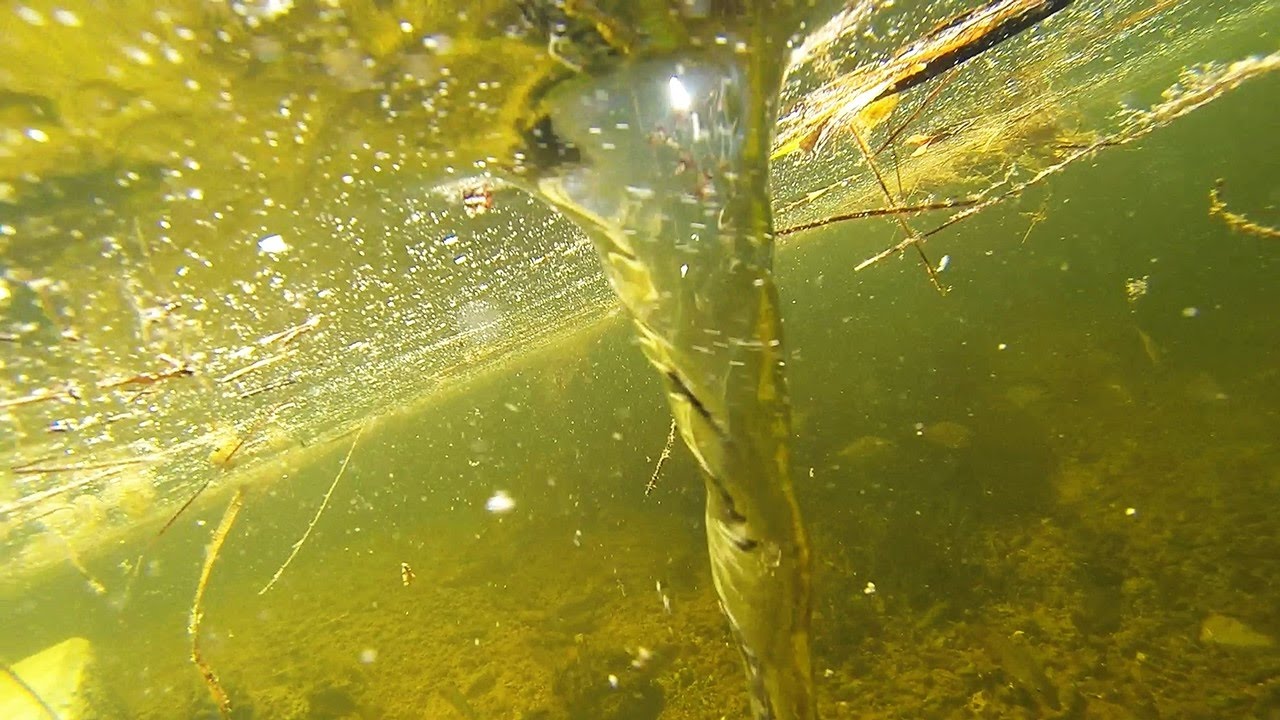 Underwater Tornado - Whirlpool