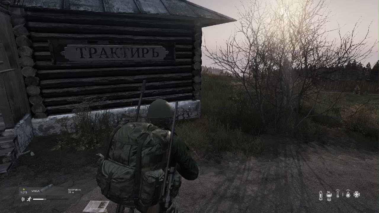 DayZ_20260221114501