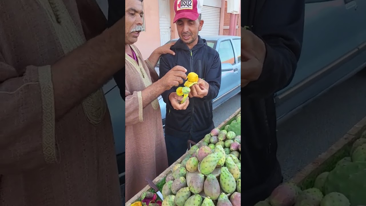 تحية لحمر