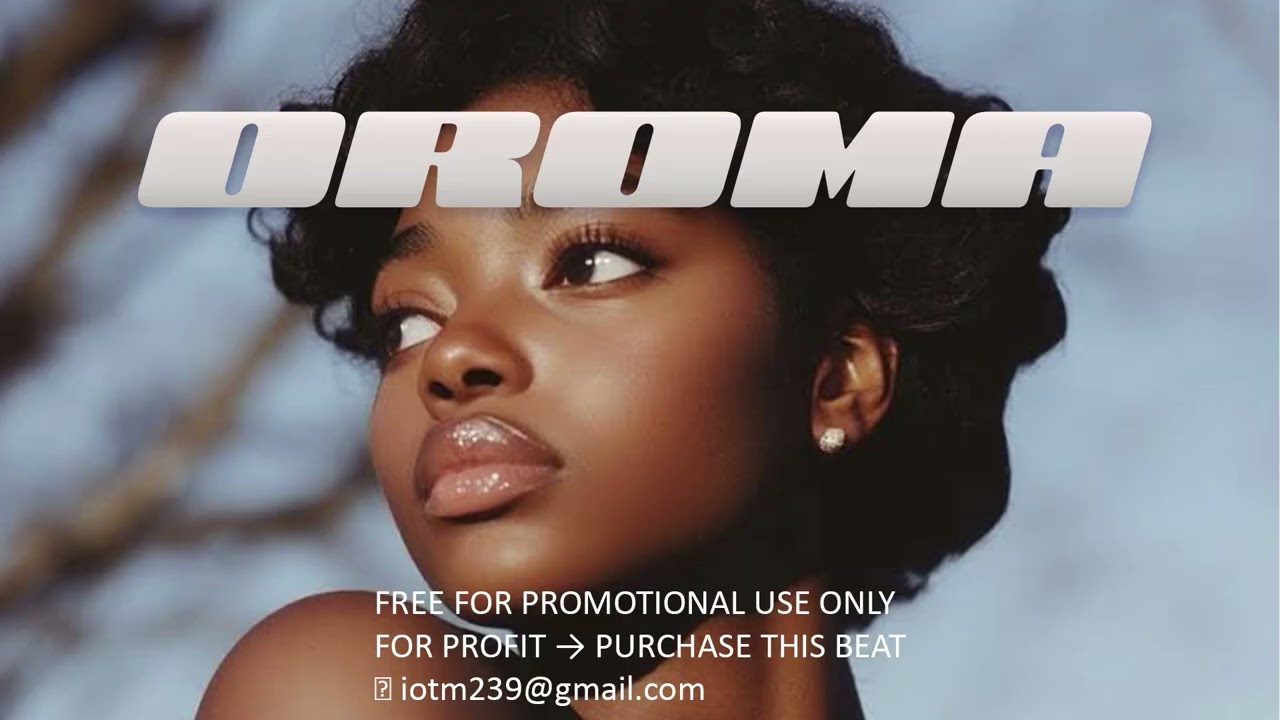 Afrobeat Type Beat 2026 - 