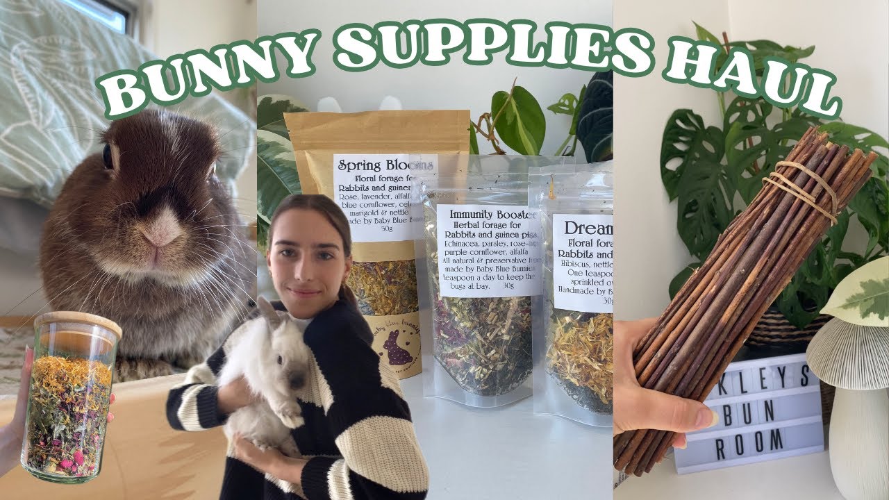 Bunny supplies haul | restock with me 🌿