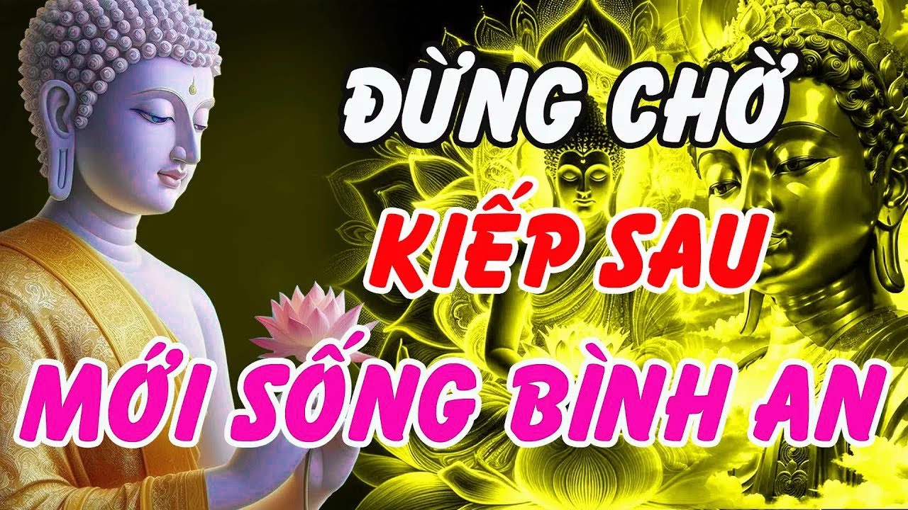 Lời Phật Dạy Thức Tỉnh Tâm Hồn   Đừng Chờ Kiếp Sau Mới Học Cách Sống Bình An